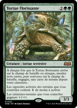 Tortue florissante - Les friches d'Eldraine