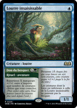 Loutre insaisissable - Les friches d'Eldraine