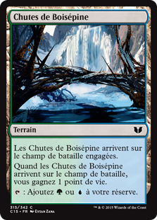 Chutes de Boisépine - Commander 2015