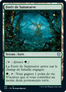 Forêt de Suintesève - Commander 2021