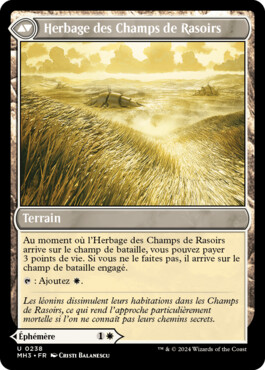 Herbage des Champs de Rasoirs - Horizons du Modern 3