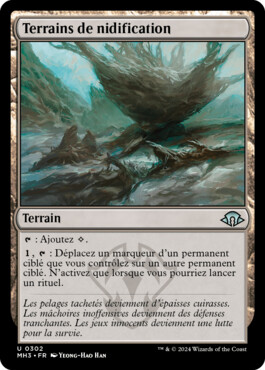 Terrains de nidification - Horizons du Modern 3