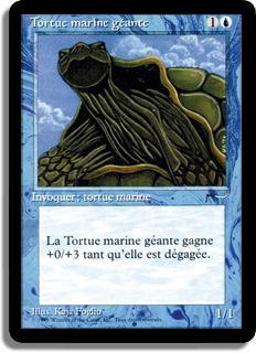 Tortue marine géante - Renaissance